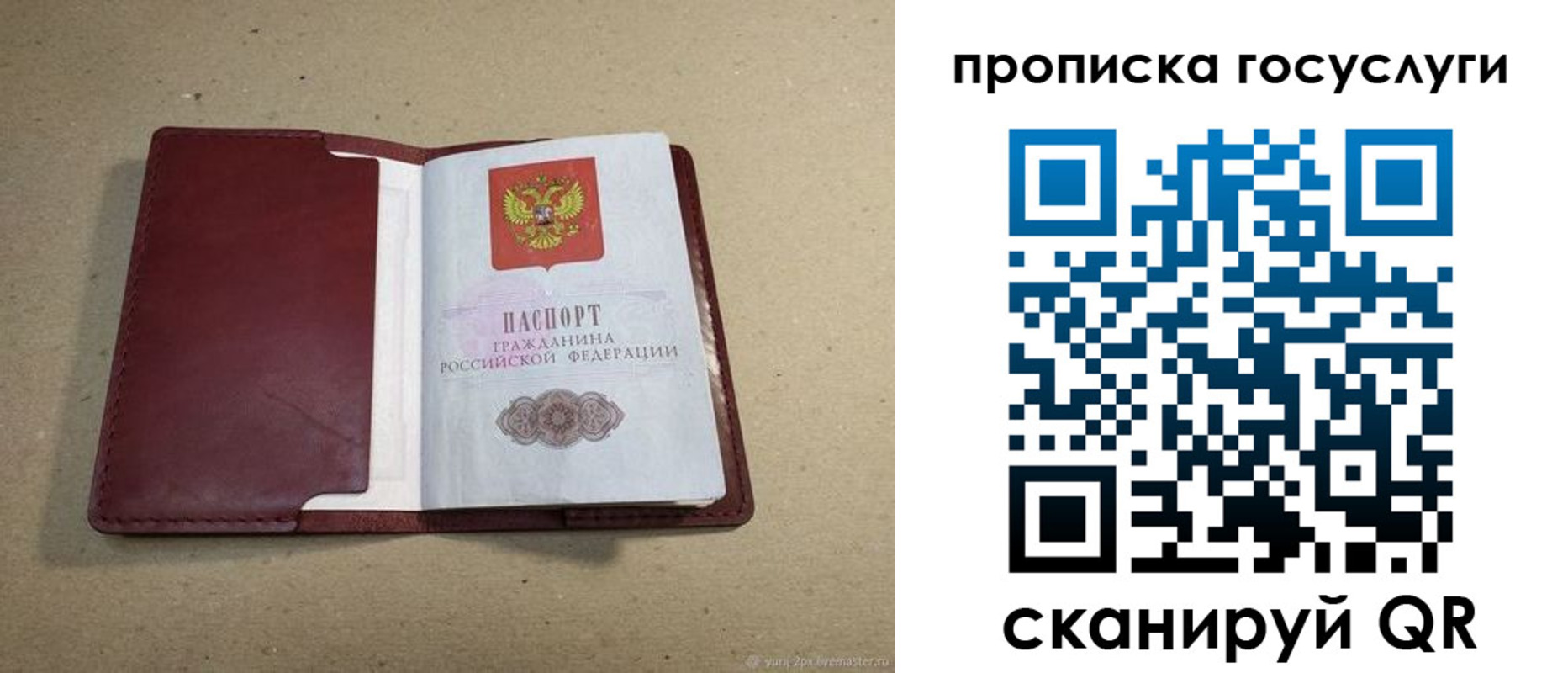 прописка поиск в Межгорье